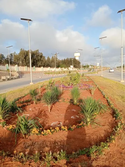 Projet d’aménagement des espaces verts pour l’APC de Sidi Abdellah