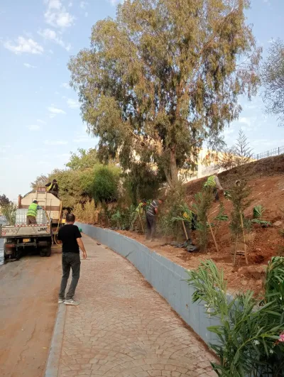 Projet d’aménagement des espaces verts pour l’APC de Sidi Abdellah