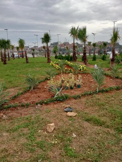 Projet d’aménagement des espaces verts pour l’APC de Sidi Abdellah