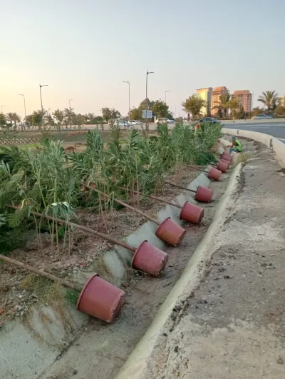 Projet d’aménagement des espaces verts pour l’APC de Sidi Abdellah