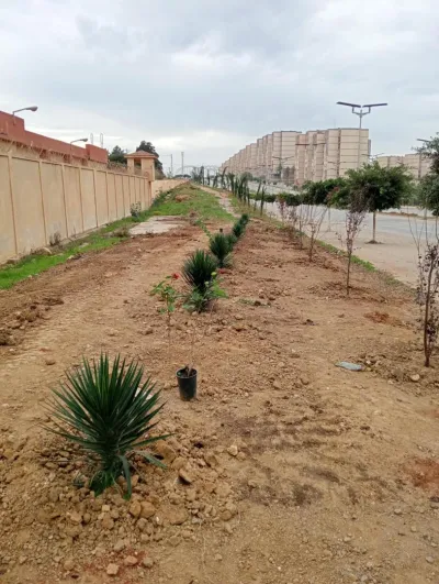 Projet d’aménagement des espaces verts pour l’APC de Sidi Abdellah