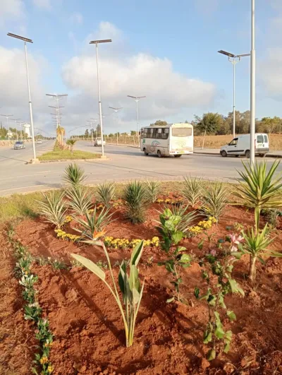 Projet d’aménagement des espaces verts pour l’APC de Sidi Abdellah