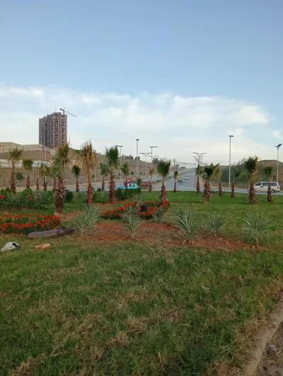 Projet d’aménagement des espaces verts pour l’APC de Sidi Abdellah