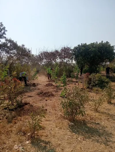 Projet d’aménagement des espaces verts pour l’APC de Sidi Abdellah