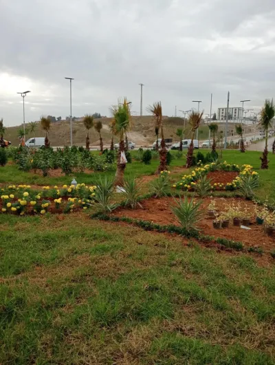 Projet d’aménagement des espaces verts pour l’APC de Sidi Abdellah