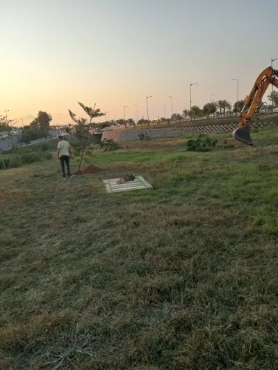 Projet d’aménagement des espaces verts pour l’APC de Sidi Abdellah