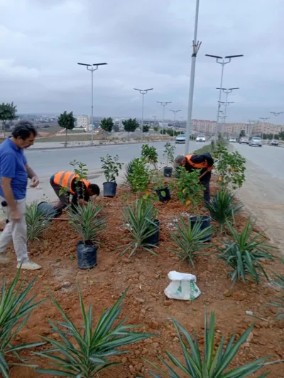 Projet d’aménagement des espaces verts pour l’APC de Sidi Abdellah