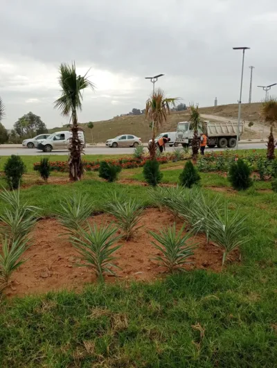 Projet d’aménagement des espaces verts pour l’APC de Sidi Abdellah
